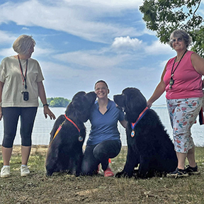 NCA Newfoundland Dogs at a Water Rescue Test